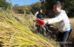 공부보다 재밌는 벼농사!