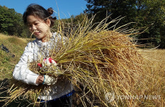 이만큼 일했어요!