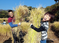이만큼 일했어요!