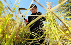 오늘은 공부 대신 벼농사 체험해요!