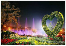 국화로 물든 익산 중앙체육공원