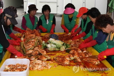 <카메라뉴스> 사랑의 김장 버무리는 손길