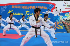 이것이 정통 태권도
