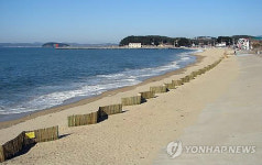 태안 꽃지해수욕장 옹벽 철거‥해안사구 복원