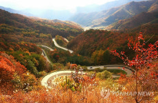 <카메라뉴스> 영동 도마령서 본 만산홍엽