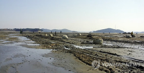 서산시, 가로림만 어장 환경개선 박차