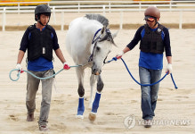 은퇴하는 경주마 백광
