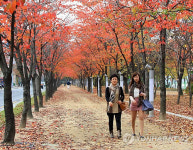 단풍 절정 이룬 대구 수성못유원지