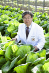 세계 첫 항암배추 개발..증평 제일종묘