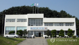 충남도 "1조원대 시장 해삼 양식 착수"