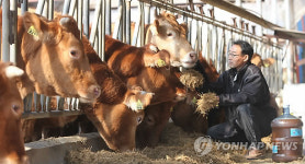 친환경 미생물로 구제역 예방