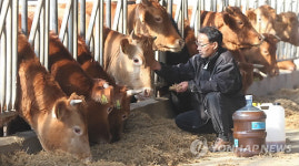 친환경 미생물로 구제역 예방