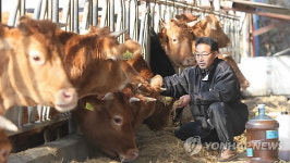 친환경 미생물로 구제역 예방