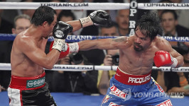 복싱영웅 파퀴아오 마르케스, 한 번 더 붙자