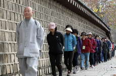 돌담길 따라 걷기 명상