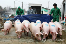  ⑤새 희망 꿈꾸는 축산농가들