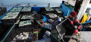 연평도는 꽃게잡이 한창