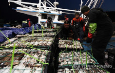 연평도는 꽃게잡이 한창