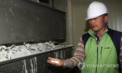 < FTA시대 신농업>⑨전분 역수출 준비 제주대정농협