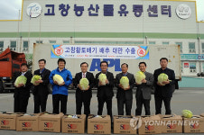 고창 황토배기배추 대만에 수출
