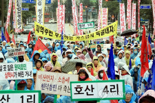 삼척 원덕읍 주민 피해 보상하라