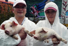 3년 연속 양돈 최고품질 대상 고봉석씨 부부