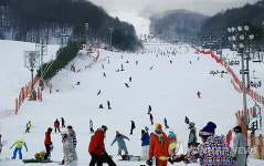 강원 백두대간 雪國..스키장 북적