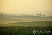 안성팜랜드의 초원