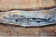 고분서 국내 첫 완전 상태 제사목기 발견