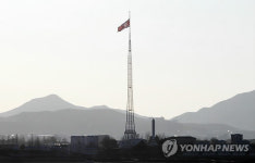 <김정일 사후> 조기걸린 기정동