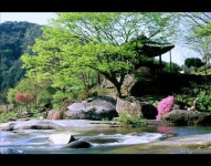 거창 용암정·화순 임대정 명승 예고