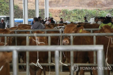 `군납 쇠고기 교체 한우값 얼마나 심각하길래…