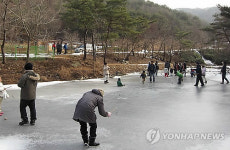 용현자연휴양림 설원에서 겨울나기