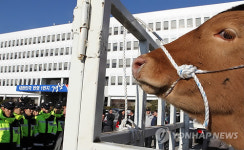경남도청 앞 한우
