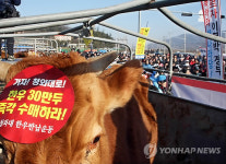 (주)경북농민축산 동부지사 | 경북축산농민 1천명 상주서 한우반납 시위