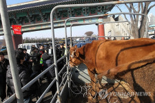 축산농가 한계상황..부도는 시간문제
