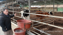 순창 농장서 소 5마리 또 굶어 죽어