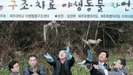 자연으로 돌아가는 야생의 새