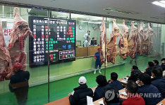 농협 음성 축산물공판장 설 앞두고 `들썩