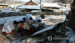 <카메라뉴스> 남원 신기마을 느티나무 당산제