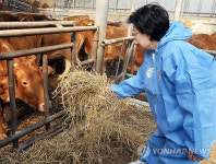 한명숙 한우사육농가 방문