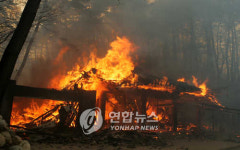 강원도 대형산불 없는 해 7년 연속 도전