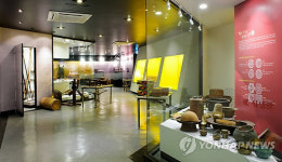 연기군 세종시 출범 대비 문화관광지 개발