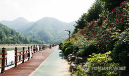 단양군, 남한강변 `느림보 강물길 조성
