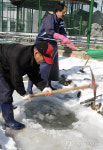 철원 강추위‥동물의 식수를 확보하라