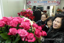 국산 장미 예쁘네요