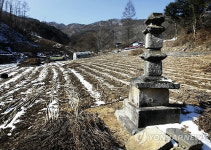  잡초에 안내판도 없고..춘천 비지정문화재
