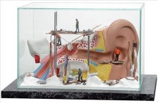 히어링메딕스, 데커스(Decus)사 작품 판매