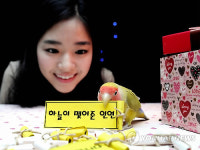 63씨월드, 럭키 버드 이벤트