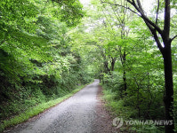 천안 광덕산에 조성된 숲길